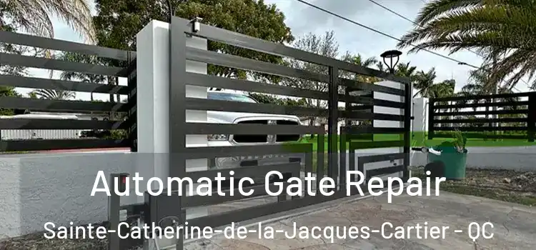 Automatic Gate Repair Sainte-Catherine-de-la-Jacques-Cartier - QC