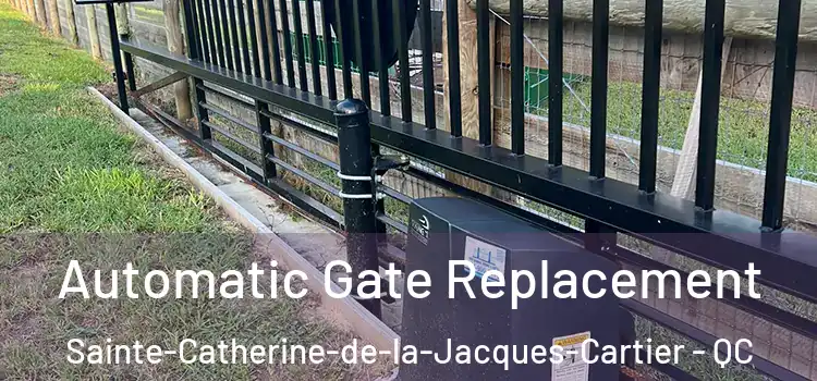Automatic Gate Replacement Sainte-Catherine-de-la-Jacques-Cartier - QC