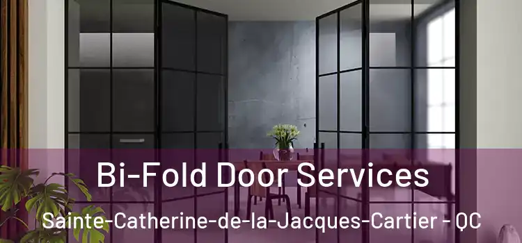  Bi-Fold Door Services Sainte-Catherine-de-la-Jacques-Cartier - QC