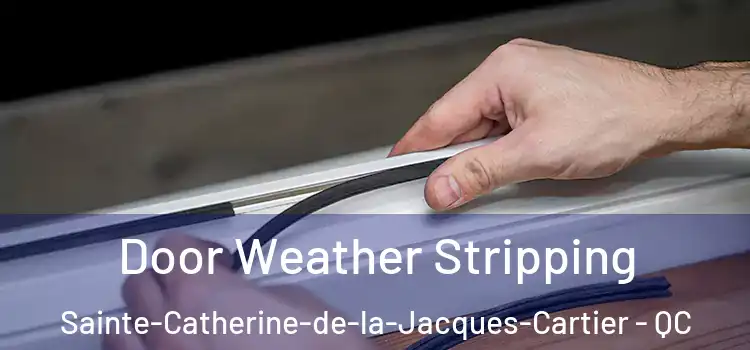 Door Weather Stripping Sainte-Catherine-de-la-Jacques-Cartier - QC