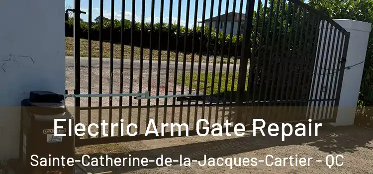 Electric Arm Gate Repair Sainte-Catherine-de-la-Jacques-Cartier - QC