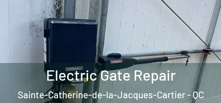Electric Gate Repair Sainte-Catherine-de-la-Jacques-Cartier - QC
