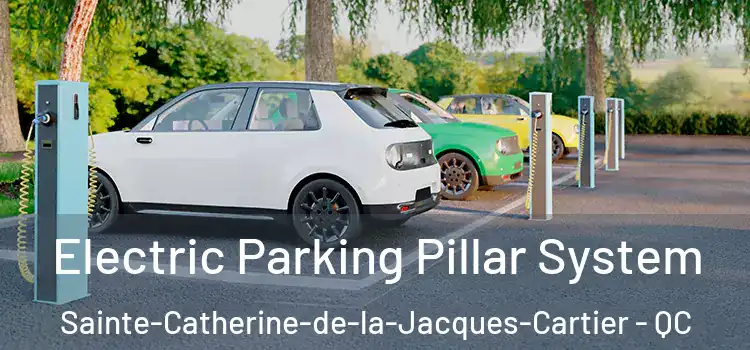 Electric Parking Pillar System Sainte-Catherine-de-la-Jacques-Cartier - QC
