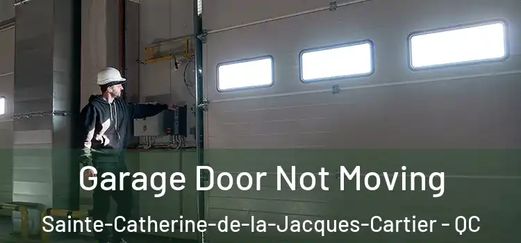  Garage Door Not Moving Sainte-Catherine-de-la-Jacques-Cartier - QC