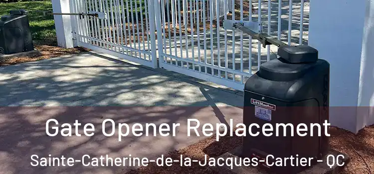 Gate Opener Replacement Sainte-Catherine-de-la-Jacques-Cartier - QC