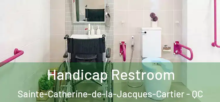  Handicap Restroom Sainte-Catherine-de-la-Jacques-Cartier - QC