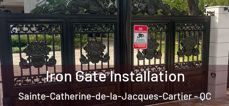 Iron Gate Installation Sainte-Catherine-de-la-Jacques-Cartier - QC