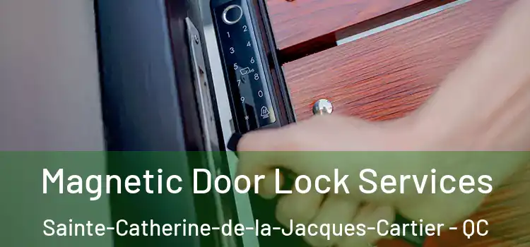 Magnetic Door Lock Services Sainte-Catherine-de-la-Jacques-Cartier - QC