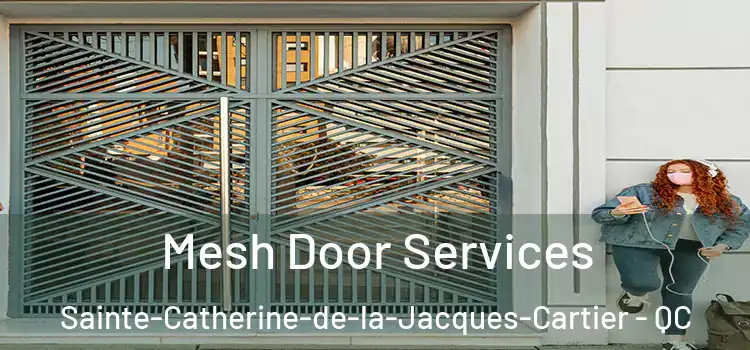 Mesh Door Services Sainte-Catherine-de-la-Jacques-Cartier - QC