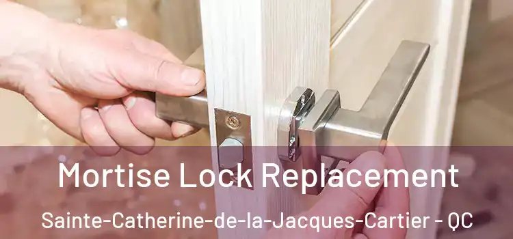 Mortise Lock Replacement Sainte-Catherine-de-la-Jacques-Cartier - QC