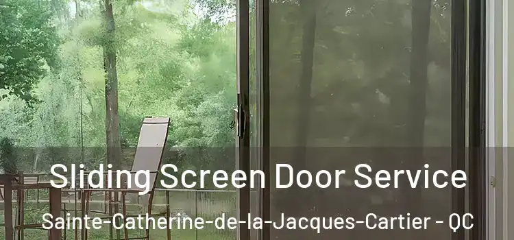 Sliding Screen Door Service Sainte-Catherine-de-la-Jacques-Cartier - QC