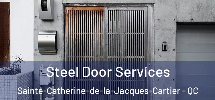 Steel Door Services Sainte-Catherine-de-la-Jacques-Cartier - QC