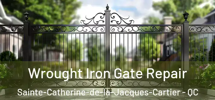 Wrought Iron Gate Repair Sainte-Catherine-de-la-Jacques-Cartier - QC
